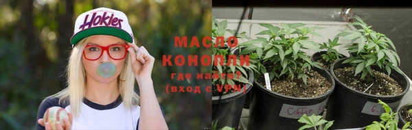 гидропоника Богородск