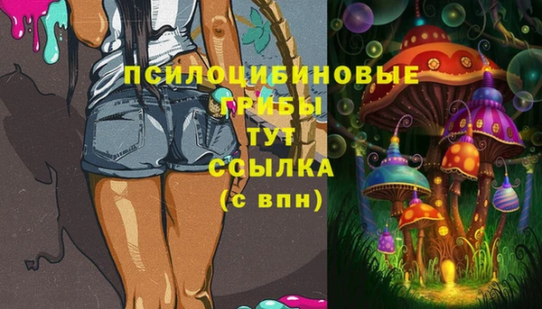 гидропоника Богородск
