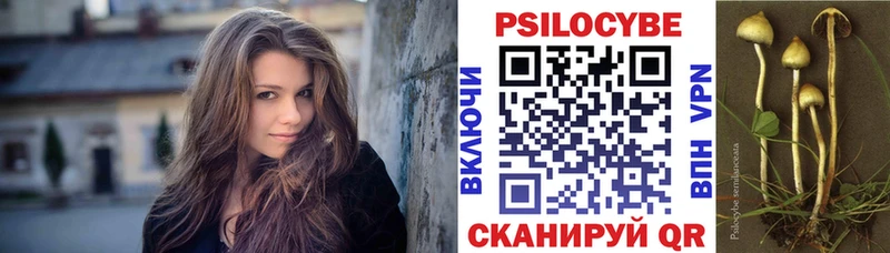 купить   Кохма  Галлюциногенные грибы Psilocybine cubensis 